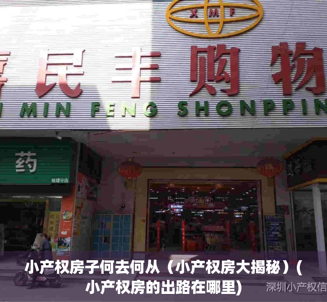 小产权房子何去何从（小产权房大揭秘）(小产权房的出路在哪里)