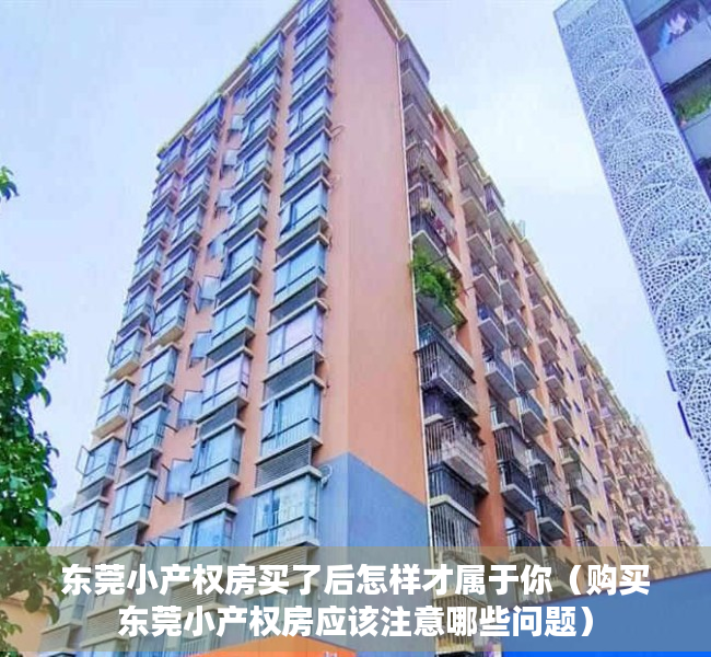 东莞小产权房买了后怎样才属于你（购买东莞小产权房应该注意哪些问题）