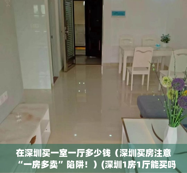 在深圳买一室一厅多少钱（深圳买房注意“一房多卖”陷阱！）(深圳1房1厅能买吗)