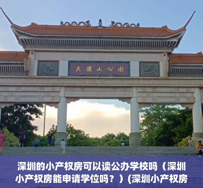 深圳的小产权房可以读公办学校吗（深圳小产权房能申请学位吗？）(深圳小产权房可以申请公立学校吗)