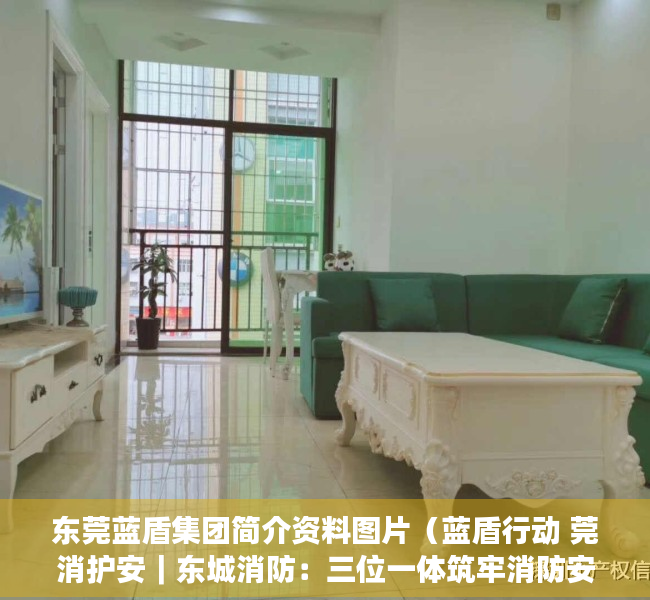 东莞蓝盾集团简介资料图片（蓝盾行动 莞消护安｜东城消防：三位一体筑牢消防安全防线）