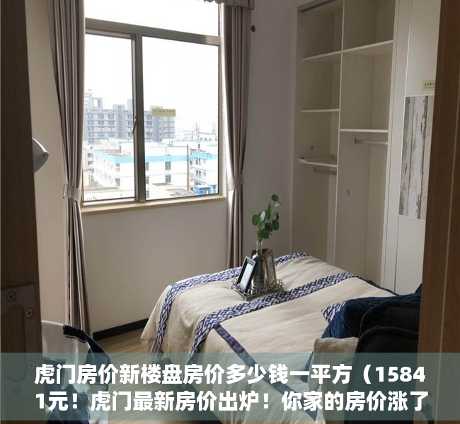 虎门房价新楼盘房价多少钱一平方（15841元！虎门最新房价出炉！你家的房价涨了还是跌了？）