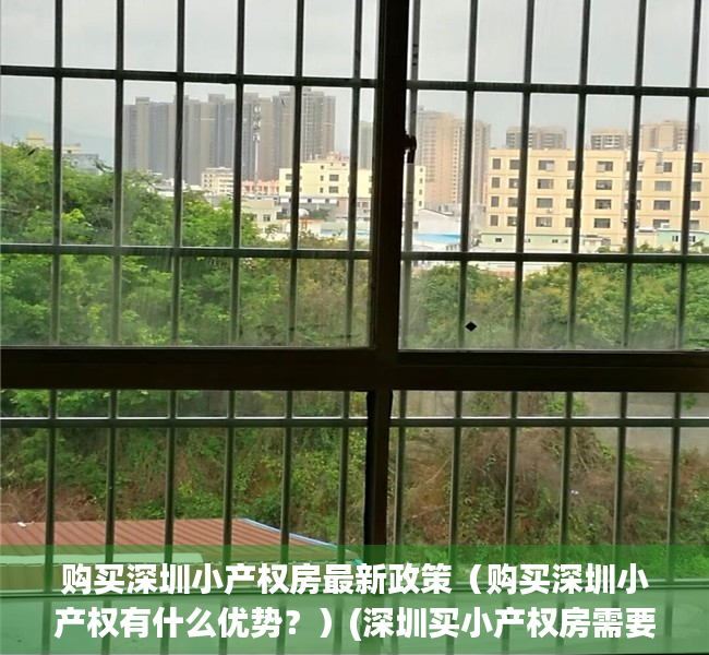 购买深圳小产权房最新政策（购买深圳小产权有什么优势？）(深圳买小产权房需要什么条件)