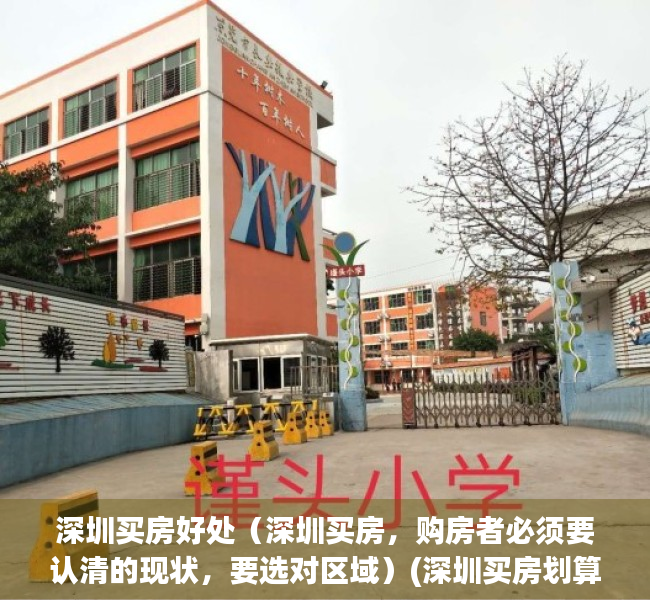 深圳买房好处（深圳买房，购房者必须要认清的现状，要选对区域）(深圳买房划算吗)