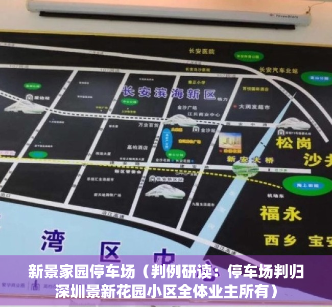 新景家园停车场（判例研读：停车场判归深圳景新花园小区全体业主所有）