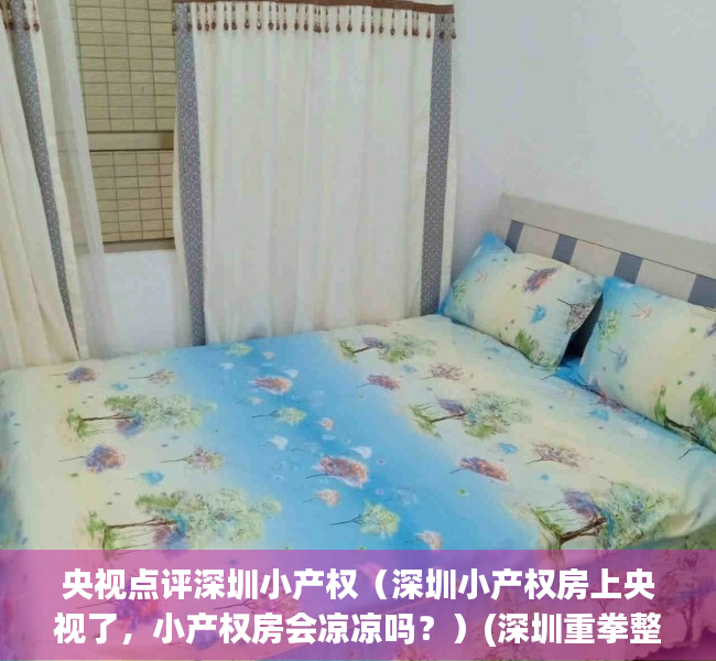 央视点评深圳小产权（深圳小产权房上央视了，小产权房会凉凉吗？）(深圳重拳整治小产权房)