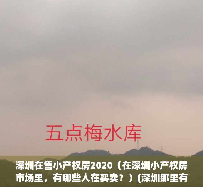 深圳在售小产权房2020（在深圳小产权房市场里，有哪些人在买卖？）(深圳那里有小产权买)