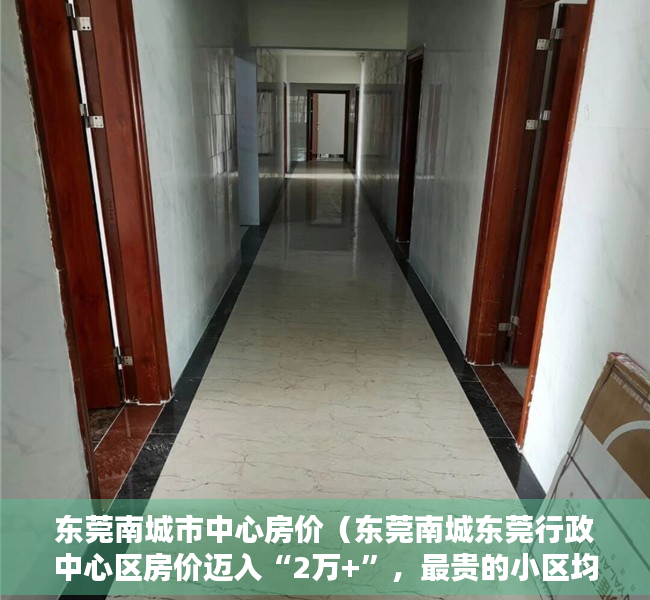 东莞南城市中心房价（东莞南城东莞行政中心区房价迈入“2万+”，最贵的小区均价超过4万平）
