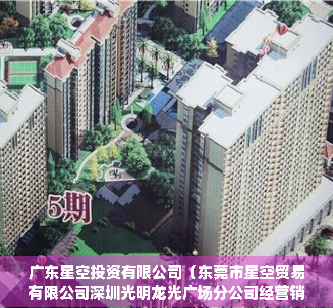 广东星空投资有限公司（东莞市星空贸易有限公司深圳光明龙光广场分公司经营销售不合格(积木)案）