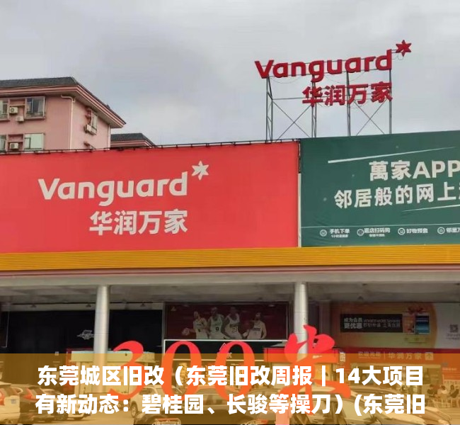 东莞城区旧改（东莞旧改周报｜14大项目有新动态：碧桂园、长骏等操刀）(东莞旧改更新单元划定)