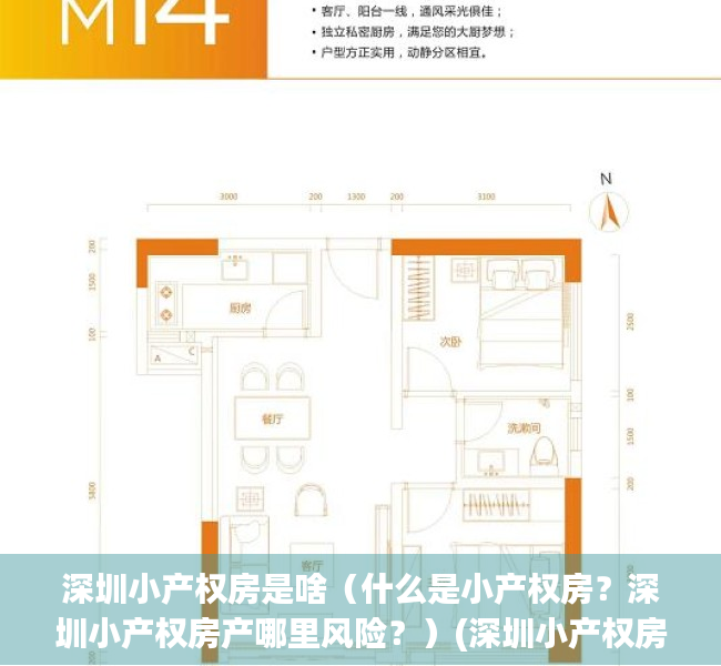 深圳小产权房是啥（什么是小产权房？深圳小产权房产哪里风险？）(深圳小产权房2021年最新政策)