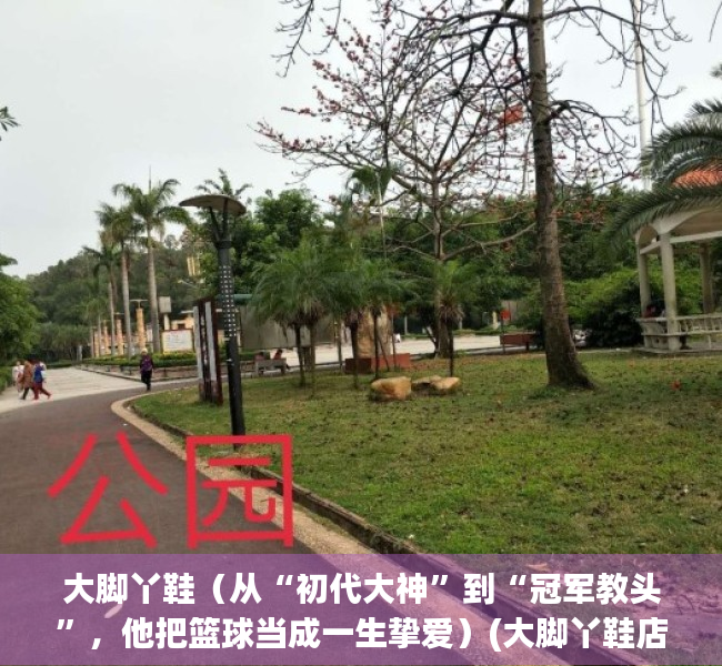 大脚丫鞋（从“初代大神”到“冠军教头”，他把篮球当成一生挚爱）(大脚丫鞋店网上商城)