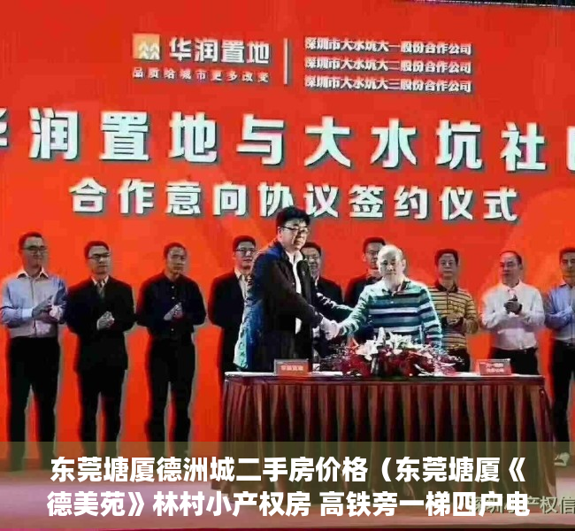 东莞塘厦德洲城二手房价格（东莞塘厦《德美苑》林村小产权房 高铁旁一梯四户电梯洋房4680元起）