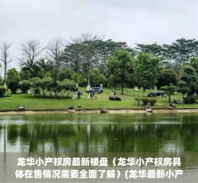 龙华小产权房最新楼盘（龙华小产权房具体在售情况需要全面了解）(龙华最新小产权房项目下周六上市)