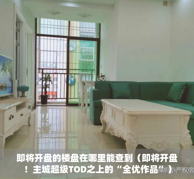 即将开盘的楼盘在哪里能查到（即将开盘！主城超级TOD之上的“全优作品”）