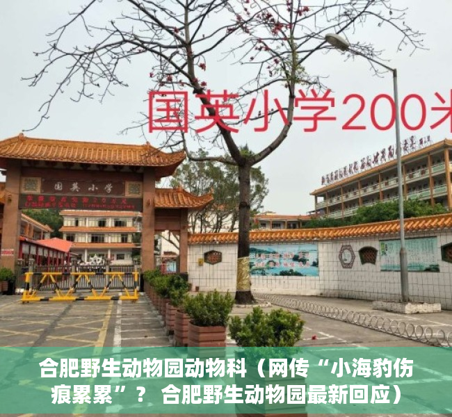 合肥野生动物园动物科（网传“小海豹伤痕累累”？ 合肥野生动物园最新回应）