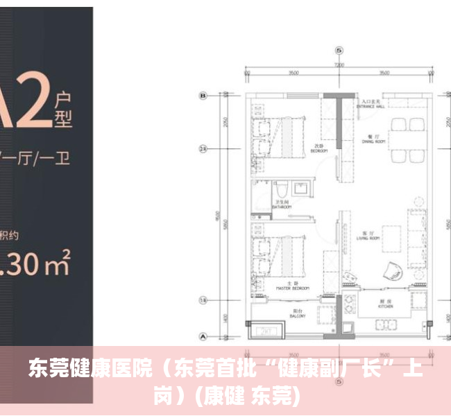 东莞健康医院（东莞首批“健康副厂长”上岗）(康健 东莞)