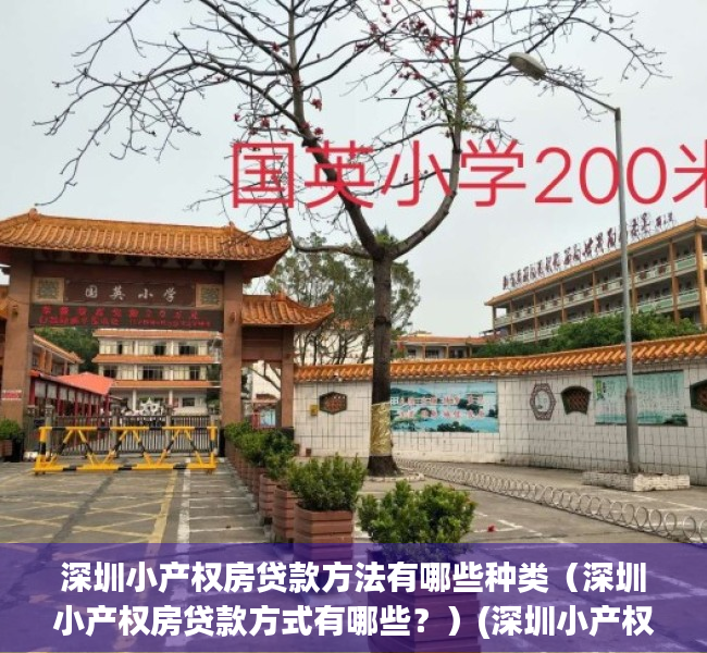 深圳小产权房贷款方法有哪些种类（深圳小产权房贷款方式有哪些？）(深圳小产权房哪个银行可以贷款吗)