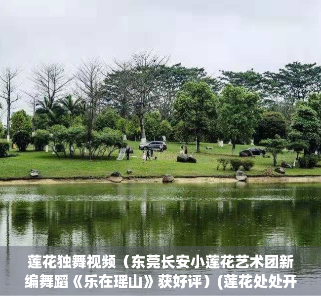 莲花独舞视频（东莞长安小莲花艺术团新编舞蹈《乐在瑶山》获好评）(莲花处处开舞蹈)