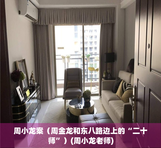 周小龙案（周金龙和东八路边上的“二十师”）(周小龙老师)