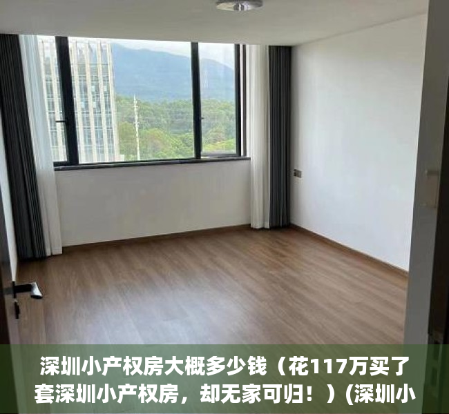 深圳小产权房大概多少钱（花117万买了套深圳小产权房，却无家可归！）(深圳小产权房现在基本卖多少钱一平)