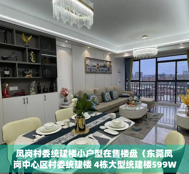 凤岗村委统建楼小户型在售楼盘（东莞凤岗中心区村委统建楼 4栋大型统建楼599W大三房）