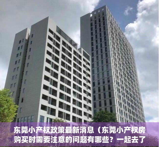 东莞小产权政策最新消息（东莞小产权房购买时需要注意的问题有哪些？一起去了解）