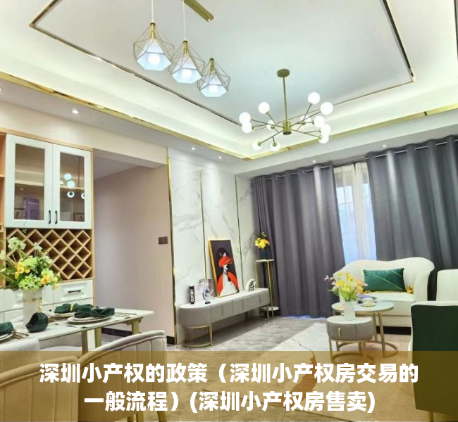 深圳小产权的政策（深圳小产权房交易的一般流程）(深圳小产权房售卖)