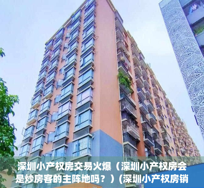深圳小产权房交易火爆（深圳小产权房会是炒房客的主阵地吗？）(深圳小产权房销售火爆,近八成购房者为投资客)