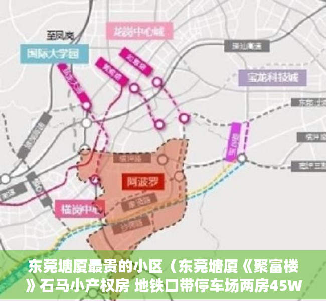 东莞塘厦最贵的小区（东莞塘厦《聚富楼》石马小产权房 地铁口带停车场两房45W起）