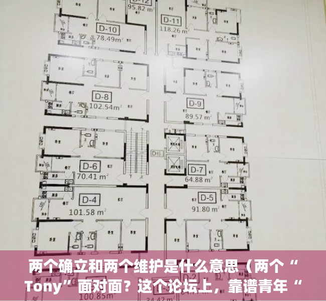 两个确立和两个维护是什么意思（两个“Tony”面对面？这个论坛上，靠谱青年“店小二”分享助企服务故事）