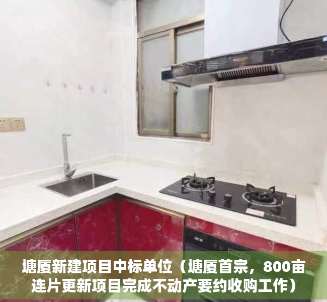 塘厦新建项目中标单位（塘厦首宗，800亩连片更新项目完成不动产要约收购工作）